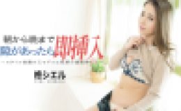 朝から晩まで隙があったら即挿入 ～スタイル抜群の元モデルに怒涛の連続挿入！～