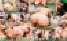 Akiho Yoshizawa COLLECTION 4