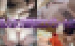 巨乳人妻?３濃厚性交コンピレーション