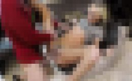 無修正、チャーリー・ディーンはクロエ・テンプルのピンクの小さなマンコに抗えない！