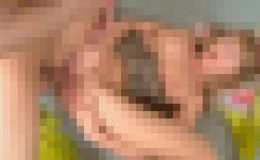 Bratty Bombshell Jade O Gets Pussy Railed By Hunk Felix K!